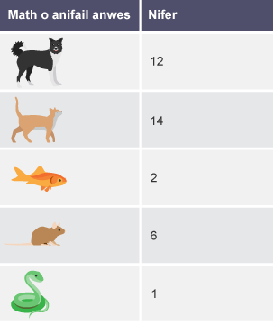 Tabl ar gyfer mathau o anifeiliaid anwes: Cŵn: 12. Cathod: 14. Pysgod: 2. Llygod mawr: 6. Nadroedd: 1.