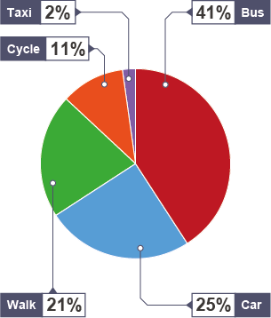 41% Bus, 25% Car, 21% Walk, 11% Bicycle, 2% Taxi.