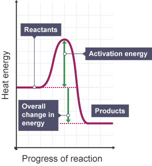 A reaction profile for an exothermic reaction showing the overall change in energy.