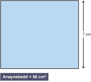 Diagram arwynebedd petryal