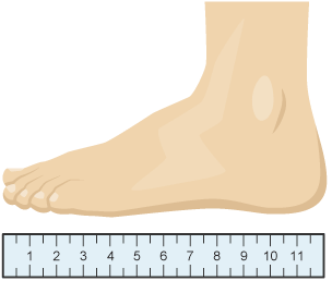 Centimetres and millimetres to inches and feet Conversion between metric and imperial units WJEC GCSE Maths Numeracy WJEC Revision BBC Bitesize