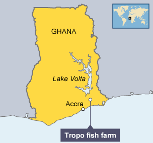 The Tropo Fish Farm is located near Lake Volta, Ghana, western Africa.