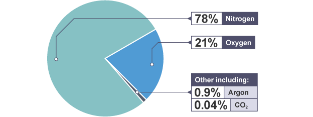 Air pie chart