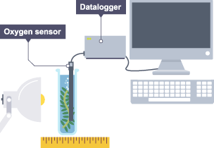 An image showing the changes in oxygen.