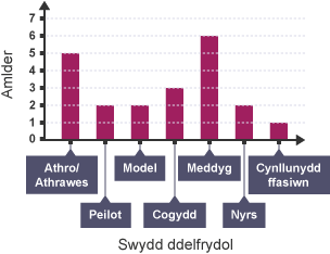 Siart bar â gwerthoedd ar gyfer - Athro/athrawes: 5. Peilot: 2. Model: 2. Cogydd: 3. Meddyg: 6. Nyrs: 3. Cynllunydd ffasiwn: 1.