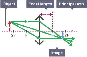 Three light rays extend out from the object arrows and cross the lens at each end. These cross on the other side of the lens under a smaller green arrow.