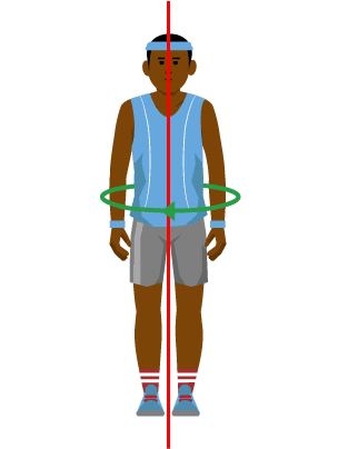 The line runs from top to bottom through the centre of the body.