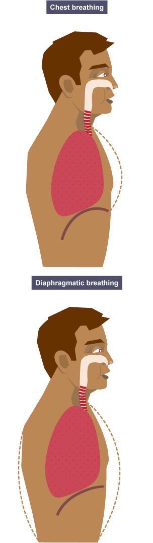 The different types of breathing - chest breathing and diaphragmatic breathing.