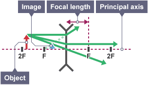 Three light rays extend out from the object towards the lens. On the other side of the lens the rays bend in different directions.