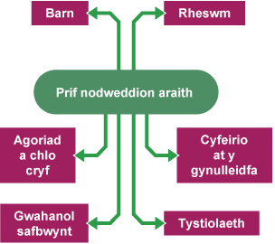 Siart corryn i gynrychioli prif nodweddion araith.