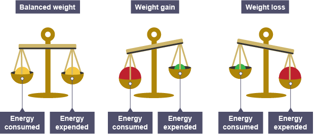 Energy balance and healthy living