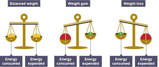 Eating a balanced diet - Diet and nutrition - AQA - GCSE Physical Education  Revision - AQA - BBC Bitesize