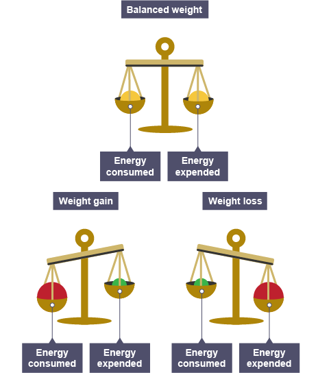 Energy balance and weight fluctuations