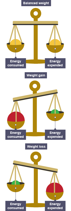 Eating a balanced diet - Diet and nutrition - AQA - GCSE Physical