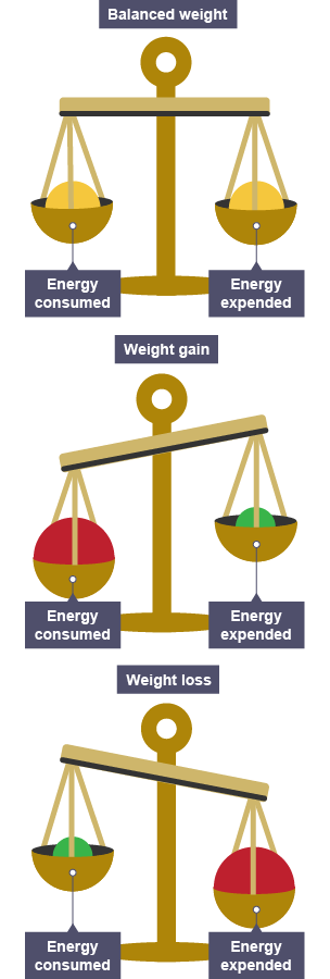 The relationship between the energy consumed and the energy expended is shown in three sets of scales, showing a balanced weight, weight gain and weight loss.