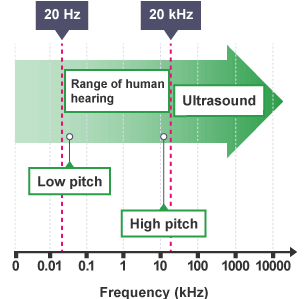 A graph charting increasing sound frequencies. The range of human hearing is between 20 hertz (low pitch) and 20 kilohertz (high pitch). Frequencies above 20 kilohertz are classed as ultrasound.