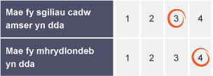 Archwiliad sgiliau yn defnyddio system sgorio sy'n seiliedig ar rifau.