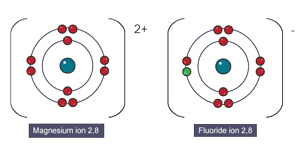 The magnesium atom lost two electrons to get a full outer shell. The fluorine atom gained one electron to get a full outer shell. The magnesium ion lost two negative electrons, so it now has a 2+ charge. It is a cation. The fluoride ion gained one negative electron, so it now has a - charge. It is an anion.