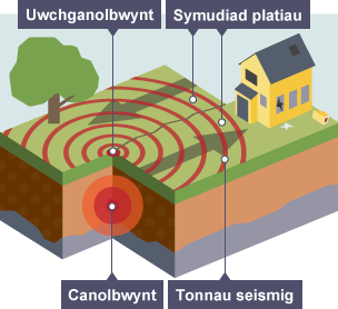 Y canolbwynt yw’r man o dan arwyneb y Ddaear lle mae’r tonnau seismig yn cychwyn. Yr uwchganolbwynt yw’r man ar arwyneb y Ddaear yn union uwchben y canolbwynt.