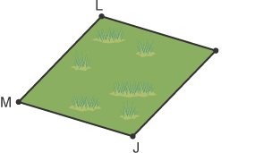 Field marked out with points J, L & M