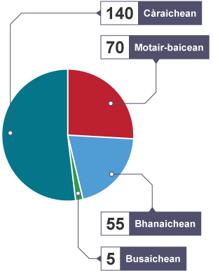 Pie chart showing types of vehicle travelling down a road