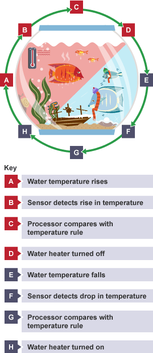 Demonstration of how heating sensors work in a fish tank