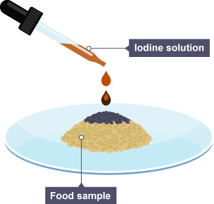 Iodine is placed on a sample of rice