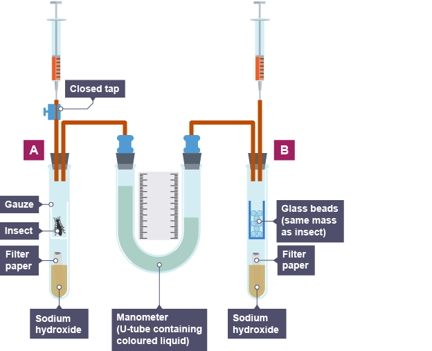 How does a respirometer work?