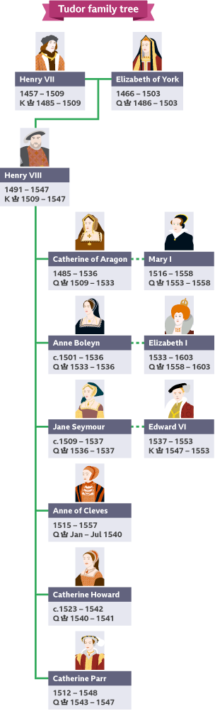 A simplified Tudor family tree showing Henry VII and Elizabeth of York at the top, their son, Henry VIII, his six wives and three children.