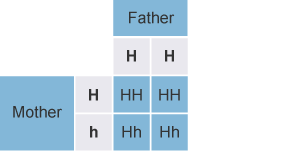 The mother has one copy of the Huntington's allele, the father has two. Therefore there's a 100% chance any children will have it.