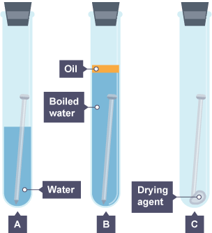 Iron nails are places in test tubes of water, boiled water with oil and a drying agent.