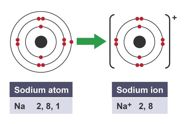 Forming ions - Ionic compounds - AQA Synergy - GCSE Combined Science  Revision - AQA Synergy - BBC Bitesize