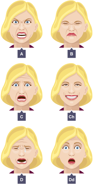 A: Wyneb blin. B: Wyneb crychu trwyn. C: Wyneb wedi dychryn. Ch: Wyneb yn gwenu. D: Wyneb yn crio. Dd: Wyneb wedi cael sioc.