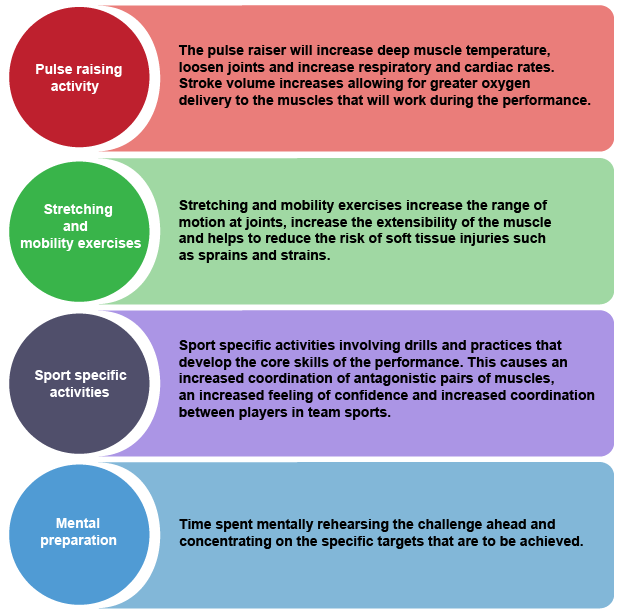 The effects of the warm up and cool down process - Methods and effects of  training - OCR - GCSE Physical Education Revision - OCR - BBC Bitesize