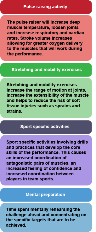 Four primary components of an effective warm up - pulse raising activity, stretching and mobility exercises, sport specific activities and mental preparation.