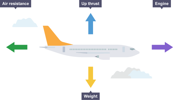 Free Body Diagram Gcse Choice Image - How To Guide And 