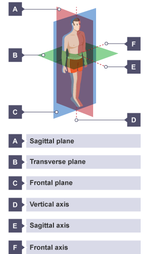 Planes and axes of movement, showing the sagittal plane, transverse plane and frontal plane, and the vertical axis, sagittal axis and frontal axis.