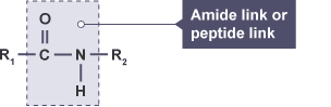 Hydrocarbon chain R1 single-bonded to carbon. The carbon is double-bonded to an oxygen, and single-bonded to a nitrogen. The nitrogen is single-bonded to a hydrogen and a second hydrocarbon chain R2.