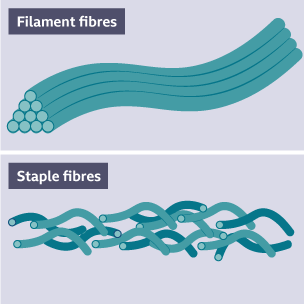 Showing a group of long filament fibres and a group of shorter wavy staple fibres.