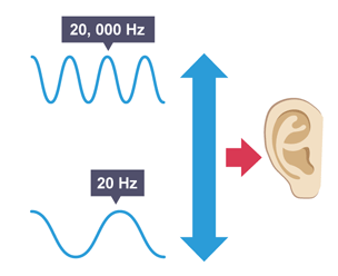 The range of regular human hearing.