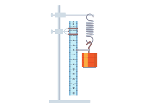 Practical Class - Extension of an Elastic Band