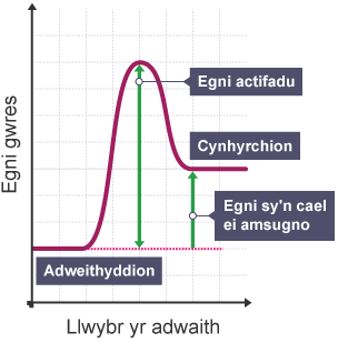 Graff adwaith endothermig, yn dangos egni yn erbyn llwybr yr adwaith.