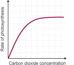 Graph showing carbon dioxide concentration