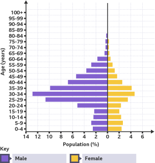 Population pyramid – United Arab Emirates . There are more males than females. The largest population is in the 20 – 49 age group. There are less under 19s. From 50 – 100+, the population decreases.