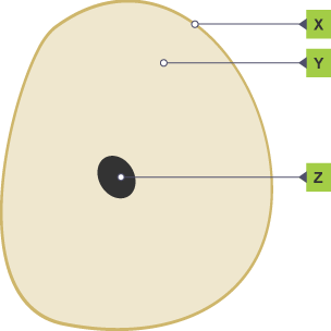 BBC Bitesize - KS3 Biology - Cells to systems - Test