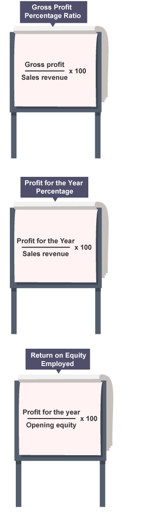 Profitability ratios: Gross Profit Percentage Ratio, Profit for the Year Percentage, Return on Equity Employed