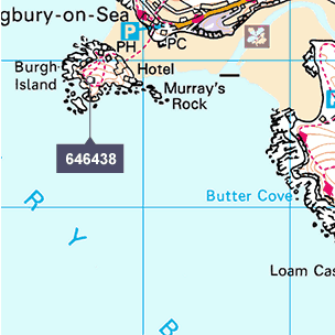 An ordnance survey map of Burgh Island.