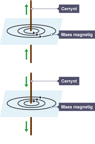 Diagram yn dangos llinellau maes magnetig yn gysylltiedig â gwifrau sy'n cario cerrynt trydan.