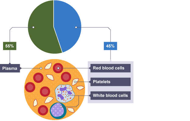 Bbc bitesize science coursework