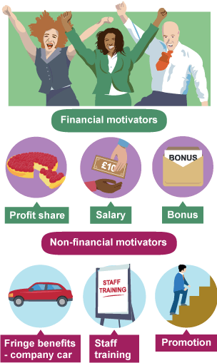 Financial (profit share, salary, bonus) and non-financial (fringe benefits, staff training, promotion) motivators